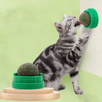 Catnip Wall Ball Toy