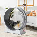 Interactive Cat Exercise Wheel