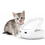 Smart Automatic Cat Feeder