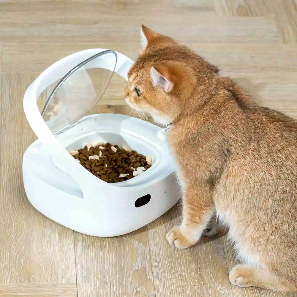 Smart Automatic Cat Feeder