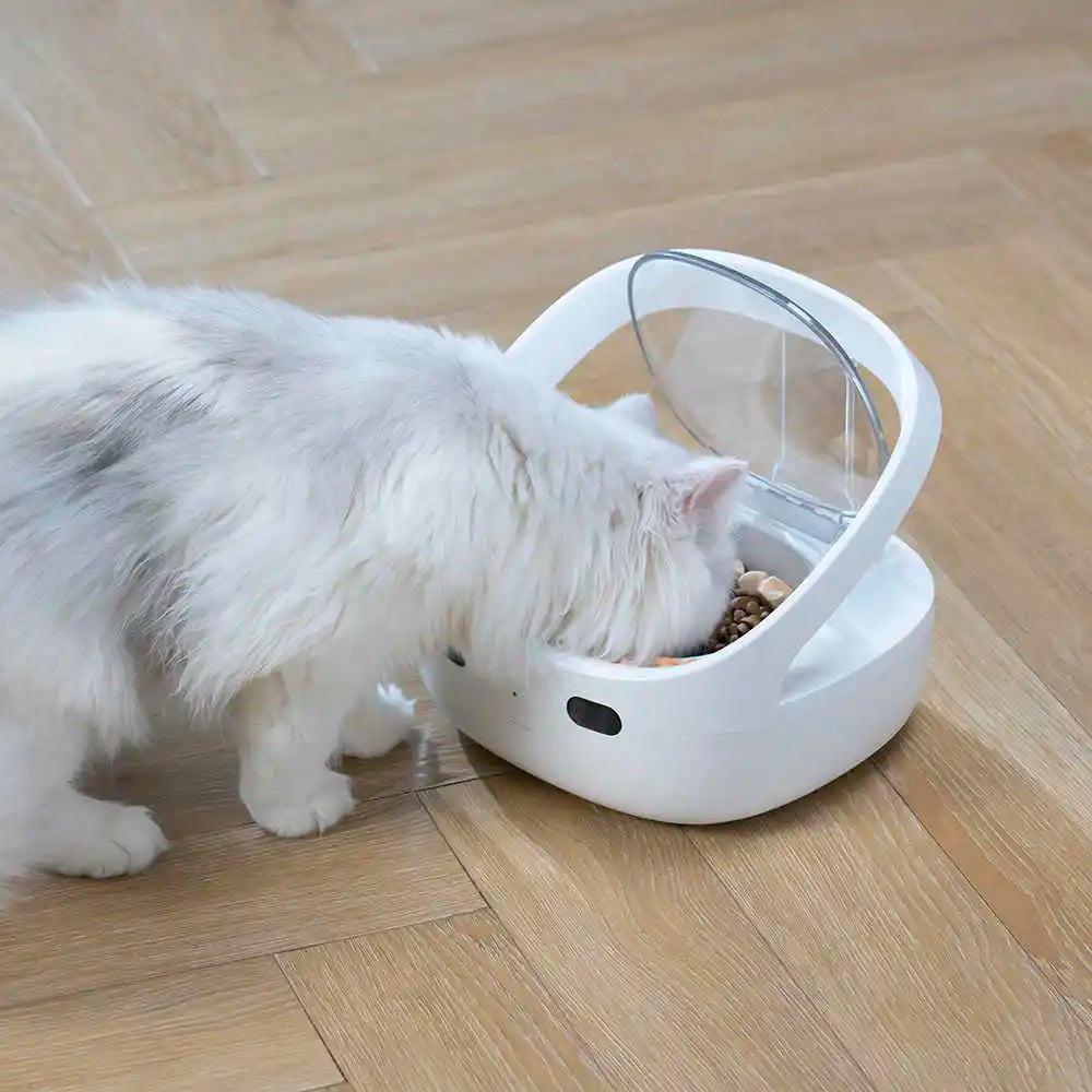 Smart Automatic Cat Feeder