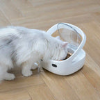 Smart Automatic Cat Feeder