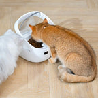 Smart Automatic Cat Feeder