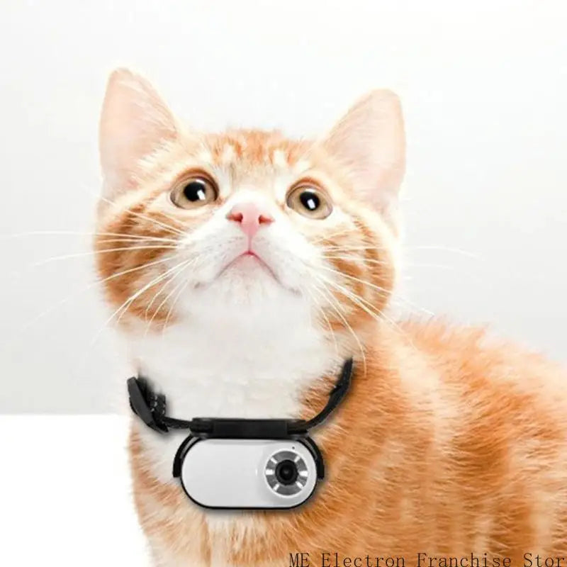 WiFi Pet Camera Collar
