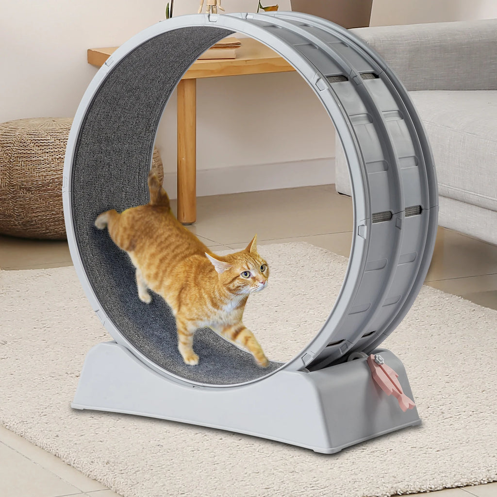 Interactive Cat Exercise Wheel