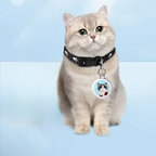 Waterproof GPS Pet Tracker