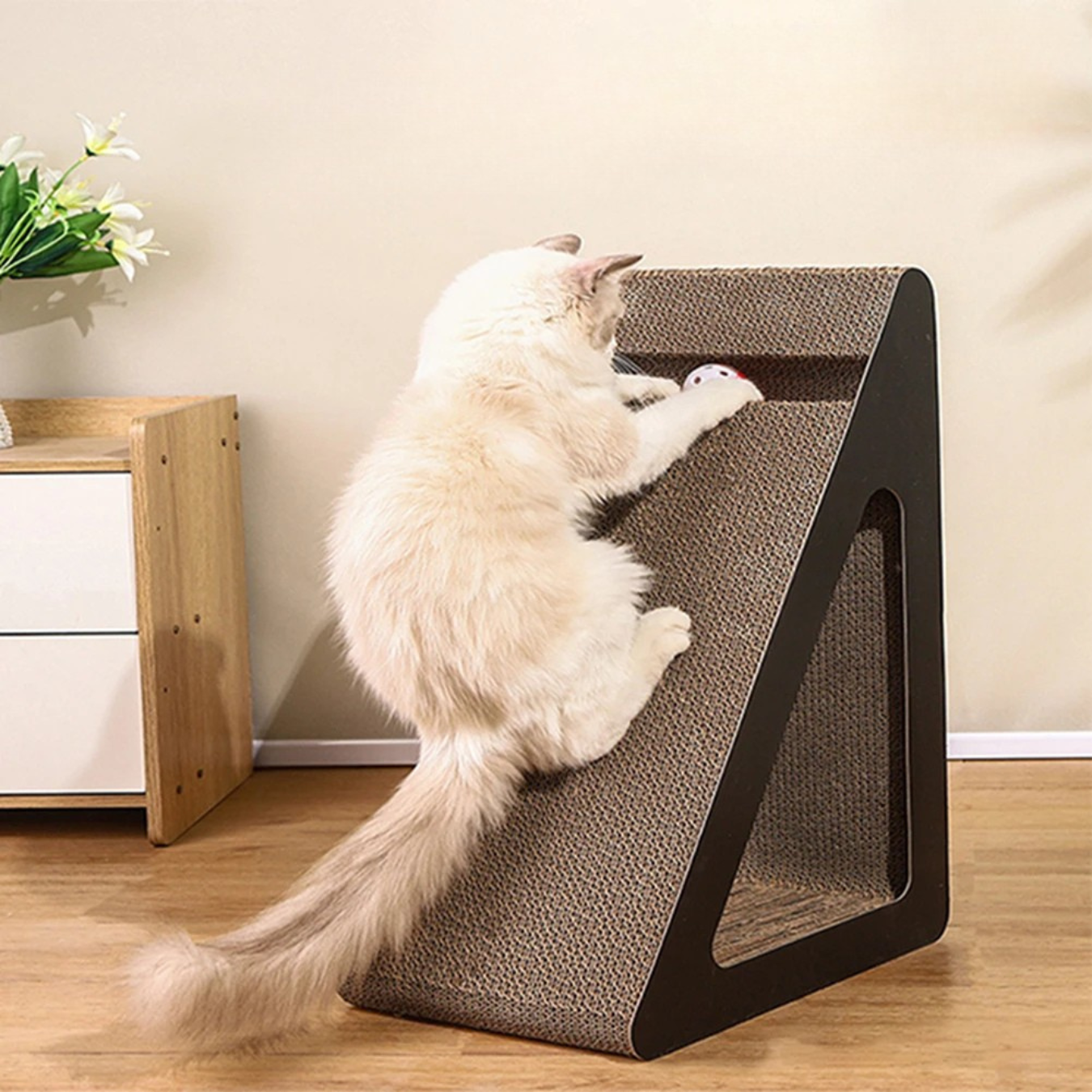 2-in-1 Cat Scratcher Toy