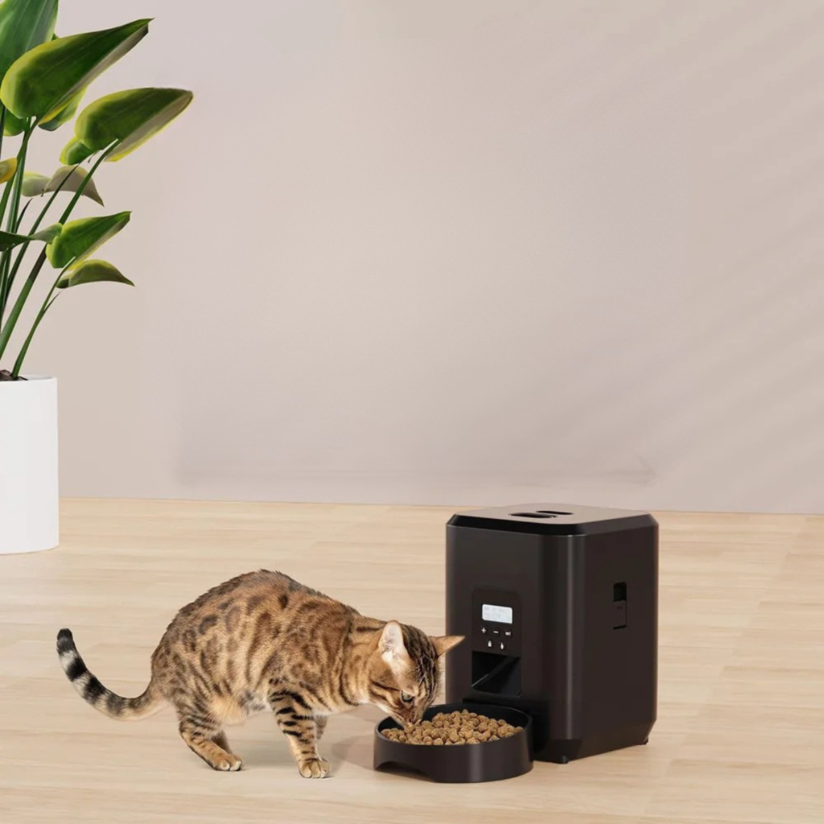 Smart Automatic Pet Feeder