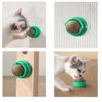 Catnip Wall Ball Toy